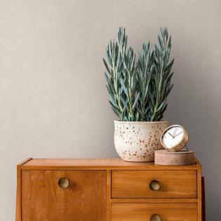 Tapeta ścienna AS Creation Casual Living 39339-2 jednokolorowa beżowa