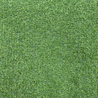 Sztuczna Trawa Summer 15mm