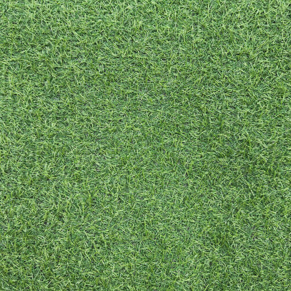 Sztuczna Trawa Summer 15mm