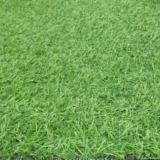 Sztuczna Trawa Summer 15mm