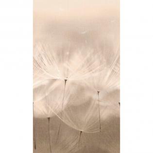 Tapeta mural Grandeco Orom 2 203801 dmuchawce 159x280cm