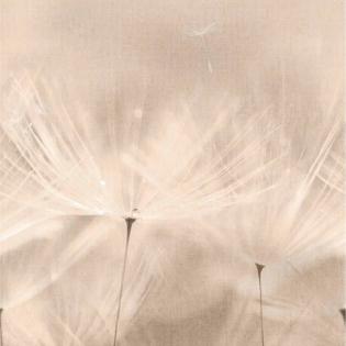 Tapeta mural Grandeco Orom 2 203801 dmuchawce 159x280cm