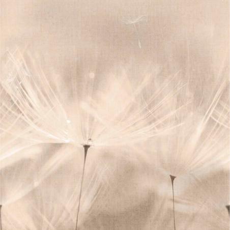 Tapeta mural Grandeco Orom 2 203801 dmuchawce 159x280cm