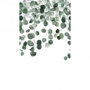 Tapeta mural Grandeco Orom 2 A73201 liście eukaliptusa zielone na białym tle 159x280cm