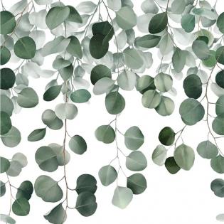 Tapeta mural Grandeco Orom 2 A73201 liście eukaliptusa zielone na białym tle 159x280cm