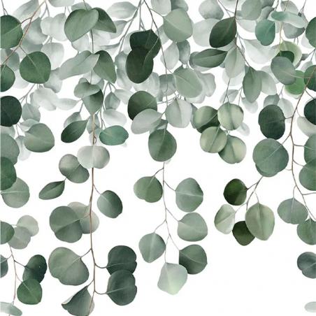 Tapeta mural Grandeco Orom 2 A73201 liście eukaliptusa zielone na białym tle 159x280cm