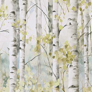 Tapeta mural Grandeco Orom 2 A77301 delikatne brzozy zielone 159x280cm