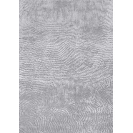 Dywan Nowoczesny Canyon Silver by Maciej Zień