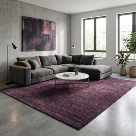 Dywan Ragolle Argentum 63078 1214 Gładki Czerwony