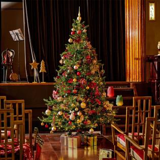Choinka sztuczna Grandis Fir 210 cm z oświetleniem 550 LED zielona jak żywa PE/PVC