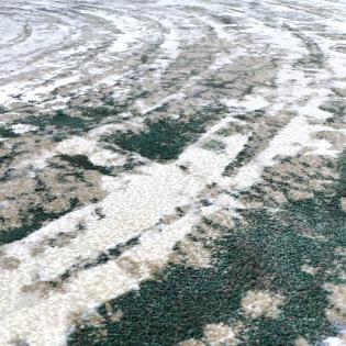 Dywan Ragolle Titanium 83914 4151 szaro-zielony