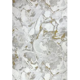 Dywan Ragolle Titanium 83916 6121 nowoczesny szaro-złoty