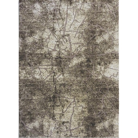 Dywan Zara 8096 beige