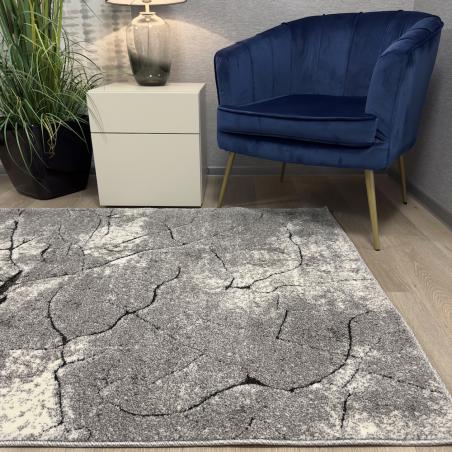 Dywan nowoczesny Miami 129 grey pień drzewa szary