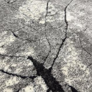 Dywan nowoczesny Miami 129 grey pień drzewa szary