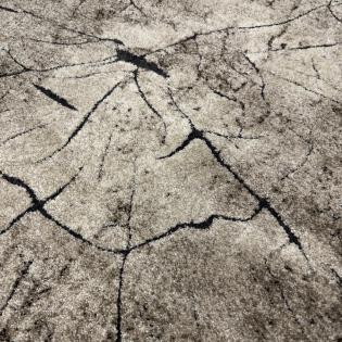 Dywan nowoczesny Miami 129 beige pień drzewa beżowy