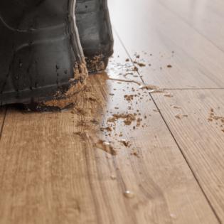 Panele Querra Prestige Dąb Leggero WR AC5 8mm