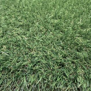 Sztuczna trawa Capri 25mm