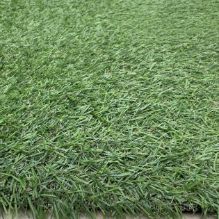 Sztuczna trawa Jasmine 17mm