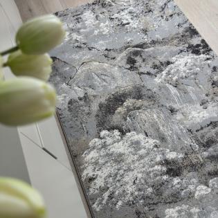 Dywan Ragolle Argentum 63910 9293 abstrakcyjny szary