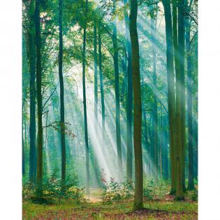 Tapeta mural Grandeco Mural Young Edition ML6301 Las duże drzewa