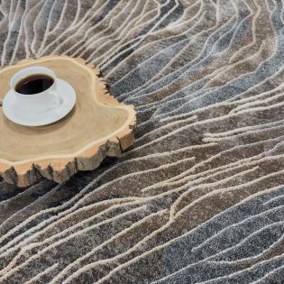 Dywan Ragolle Argentum 63481 3293 brązowy