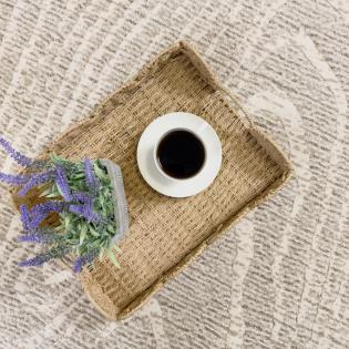 Dywan Ragolle Argentum 63954 6575 beżowy